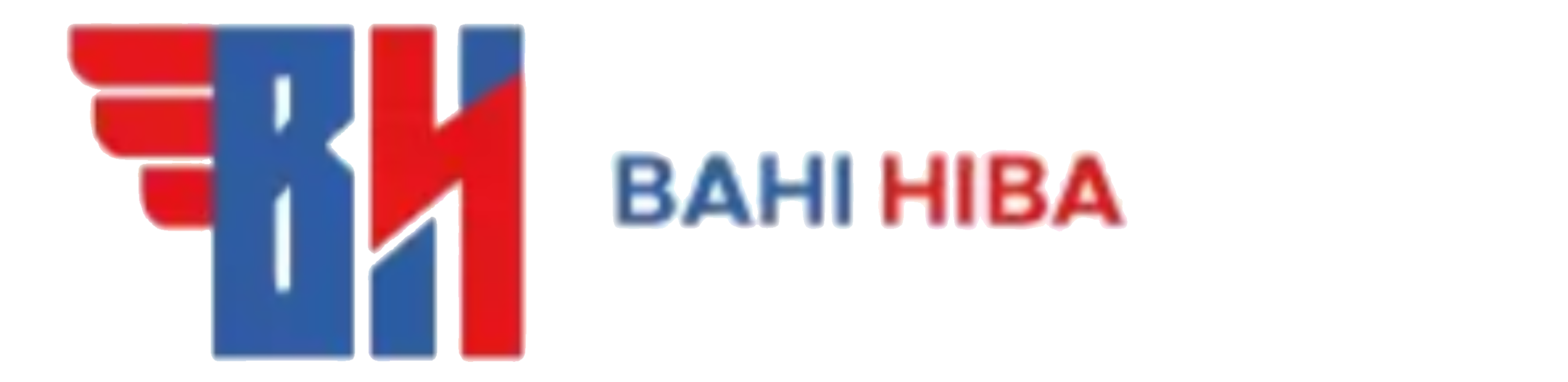 Bahi Hiba Limited